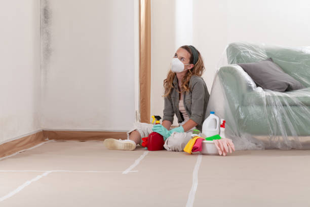 Reliable Black Mold Remediation contractor in Nellysford, VA by 24 Hour Mold Removal